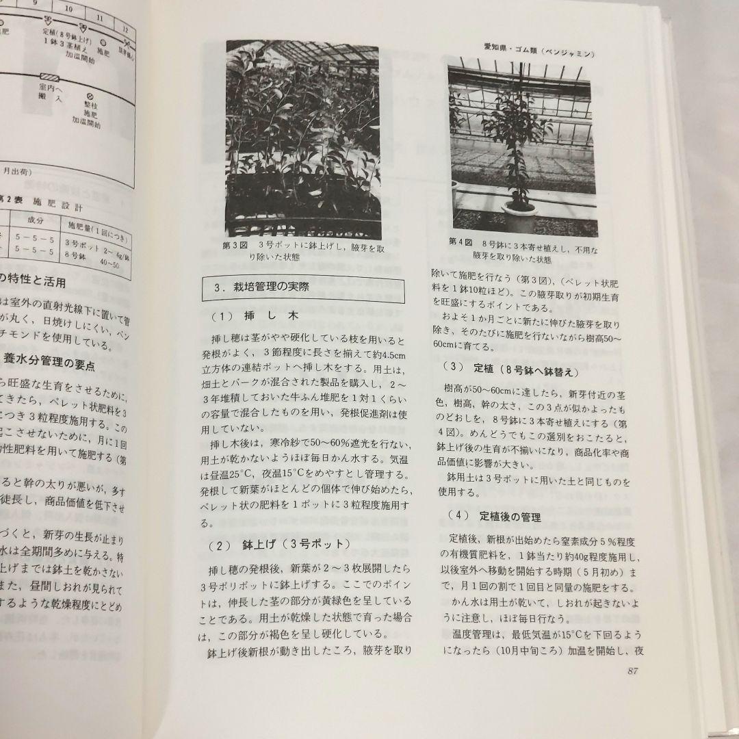 【希少！　初版！　美品！】　​花卉園芸大百科 16　観葉植物　サボテン　多肉植物