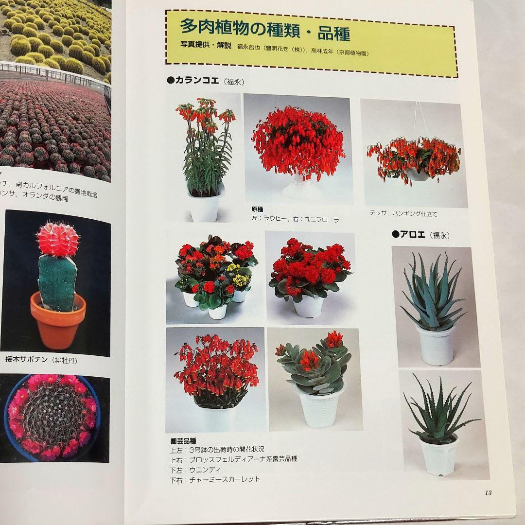 【希少！　初版！　美品！】　​花卉園芸大百科 16　観葉植物　サボテン　多肉植物