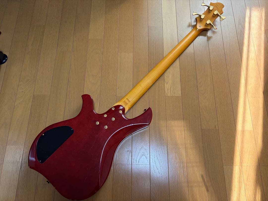 EDWARDS E-T-98EL ラルクTETUYAモデル