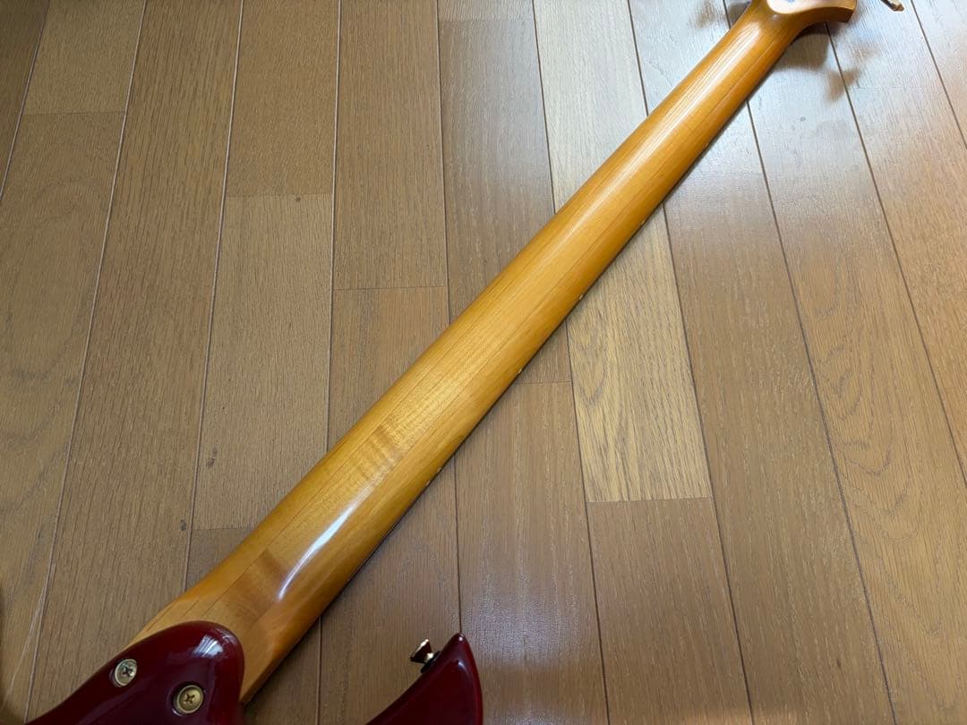 EDWARDS E-T-98EL ラルクTETUYAモデル