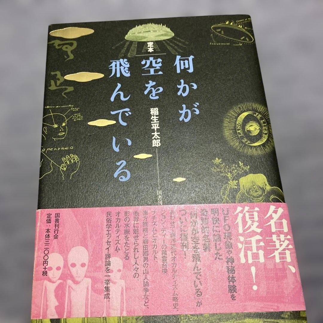 何かが空を飛んでいる 稲生平太郎著