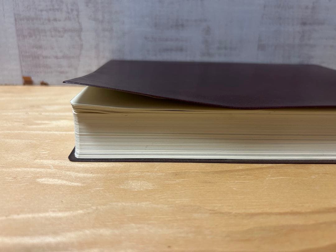 導引医学全書 現代版 早島正雄著