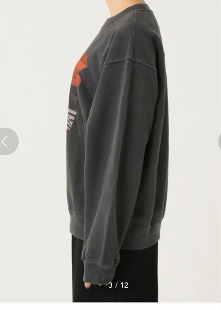 AP STUDIO 【ANINE BING/アニービン】BING スウェット