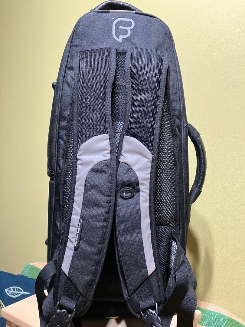 フュージョン　ソフトケースアルトサックス