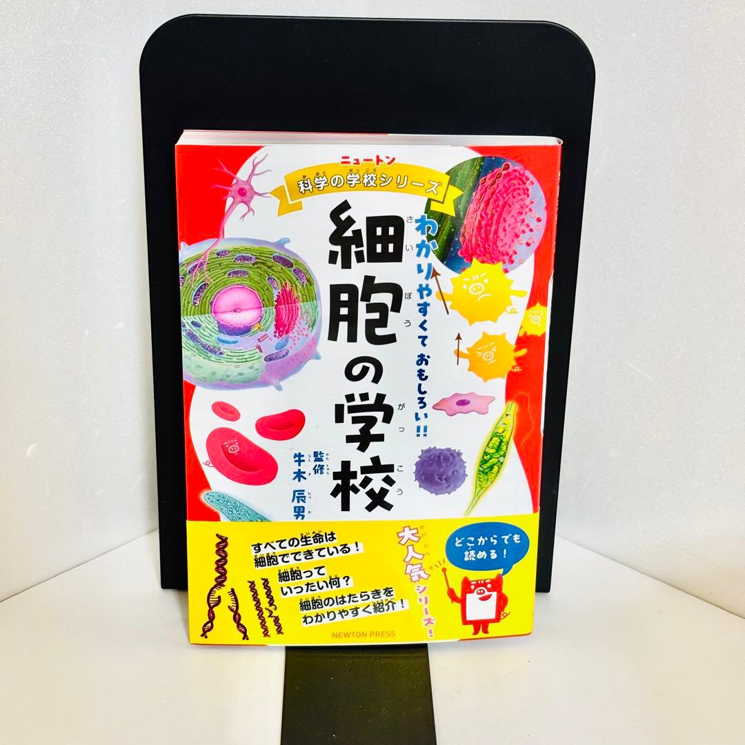 ⭐️匿名配送⭐️Newton ニュートン 科学の学校シリーズ 13冊セット 恐竜 海