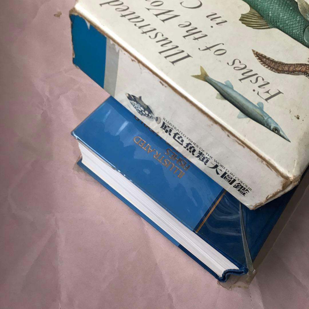 【冬セール】原色魚類大圖鑑