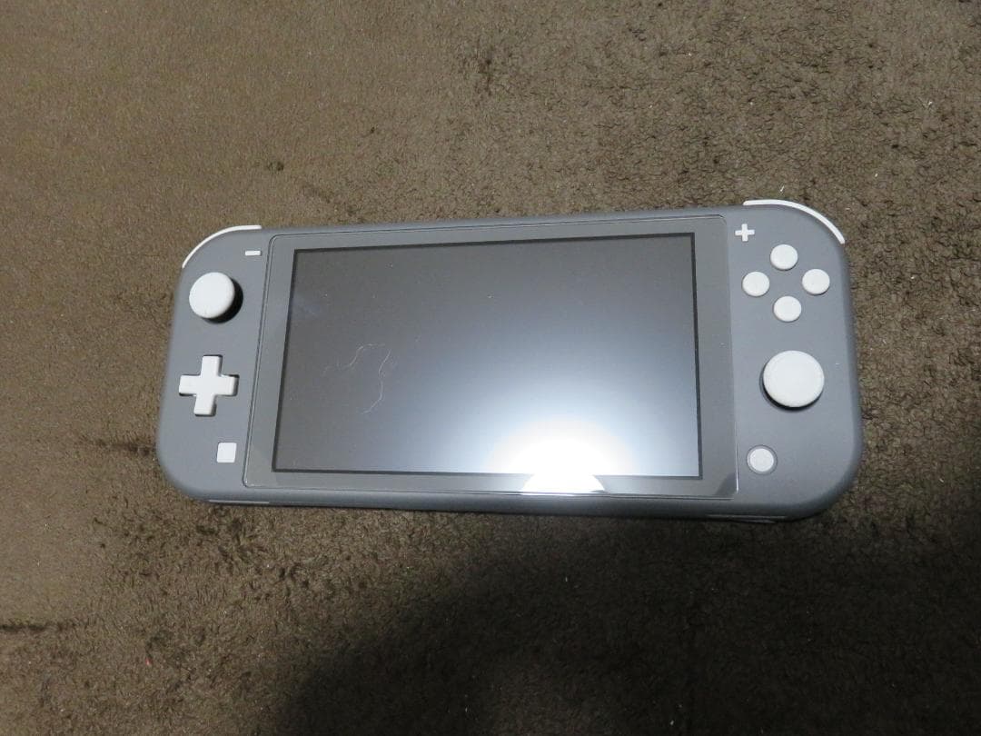 【使用極少】Nintendo Switch Lite グレー 本体　ケースおまけ