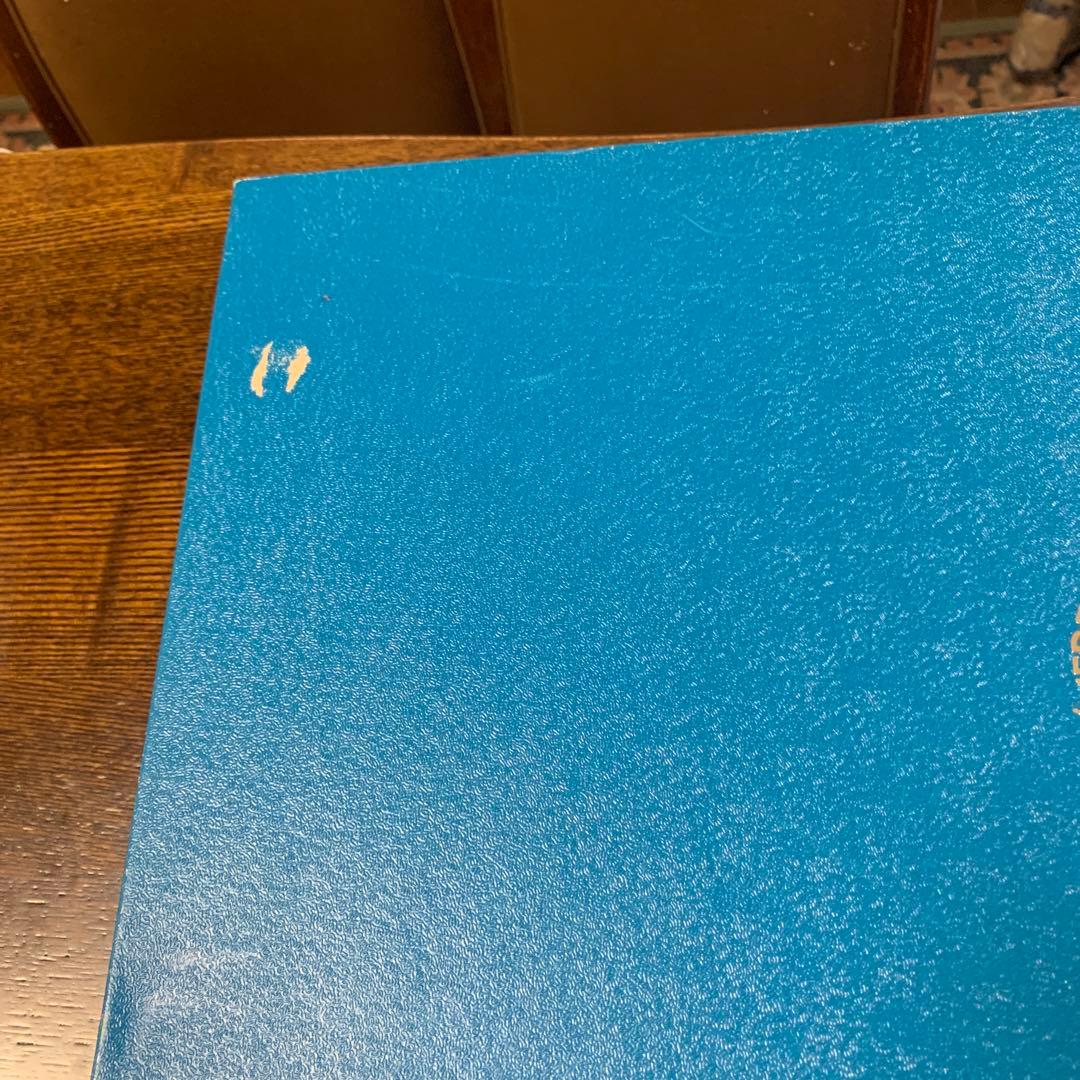 再お値下げ☆未使用☆ヘレンド フルーツエスキース パーティトレイ大皿(箱付き)