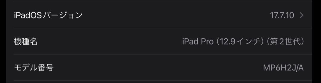 iPad Pro(12.9/第2世代/256GB)+Apple Pencil