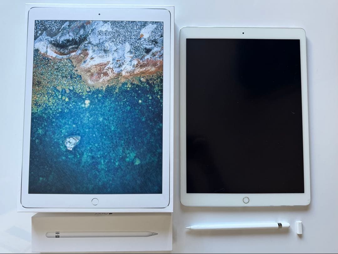 iPad Pro(12.9/第2世代/256GB)+Apple Pencil