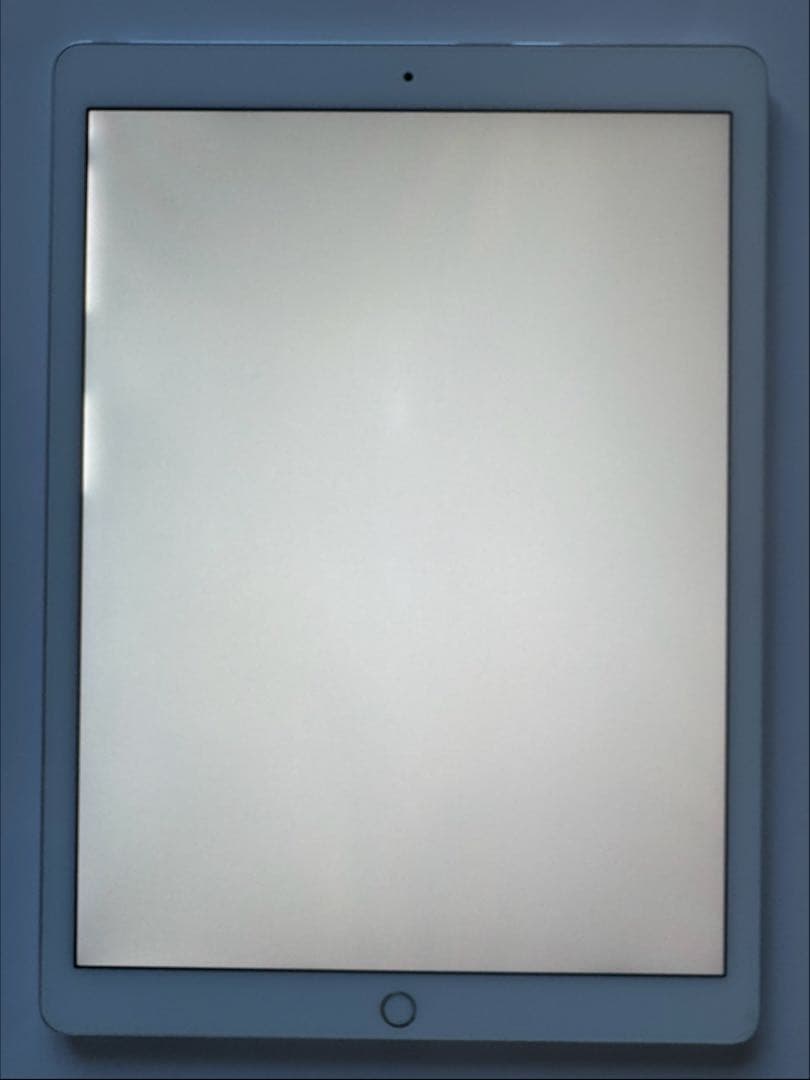 iPad Pro(12.9/第2世代/256GB)+Apple Pencil