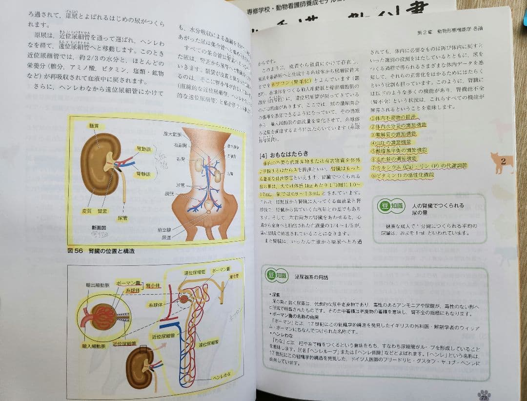 【即購入ok】動物看護の教科書 1-6巻セット