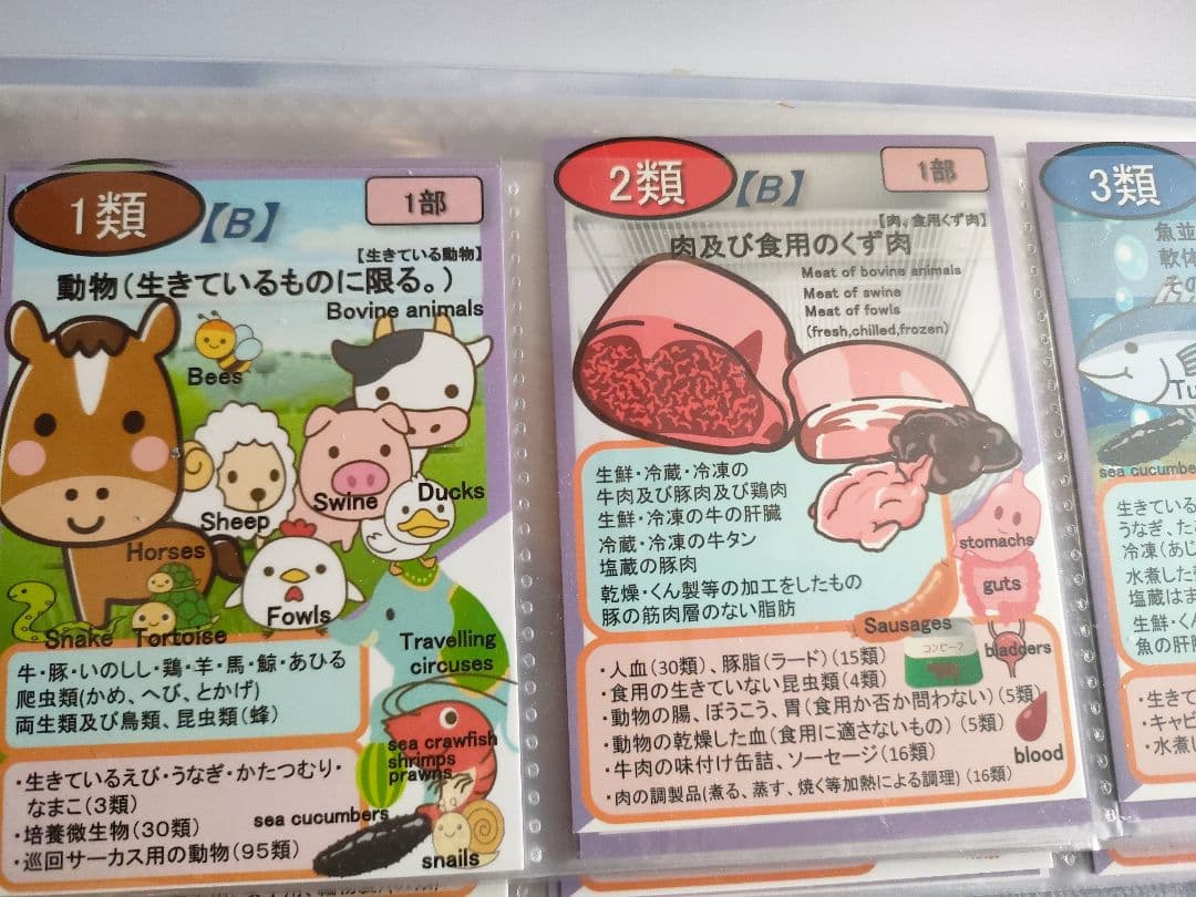 LEC　通関士　2025年度　通関士初学者コースDVD講座