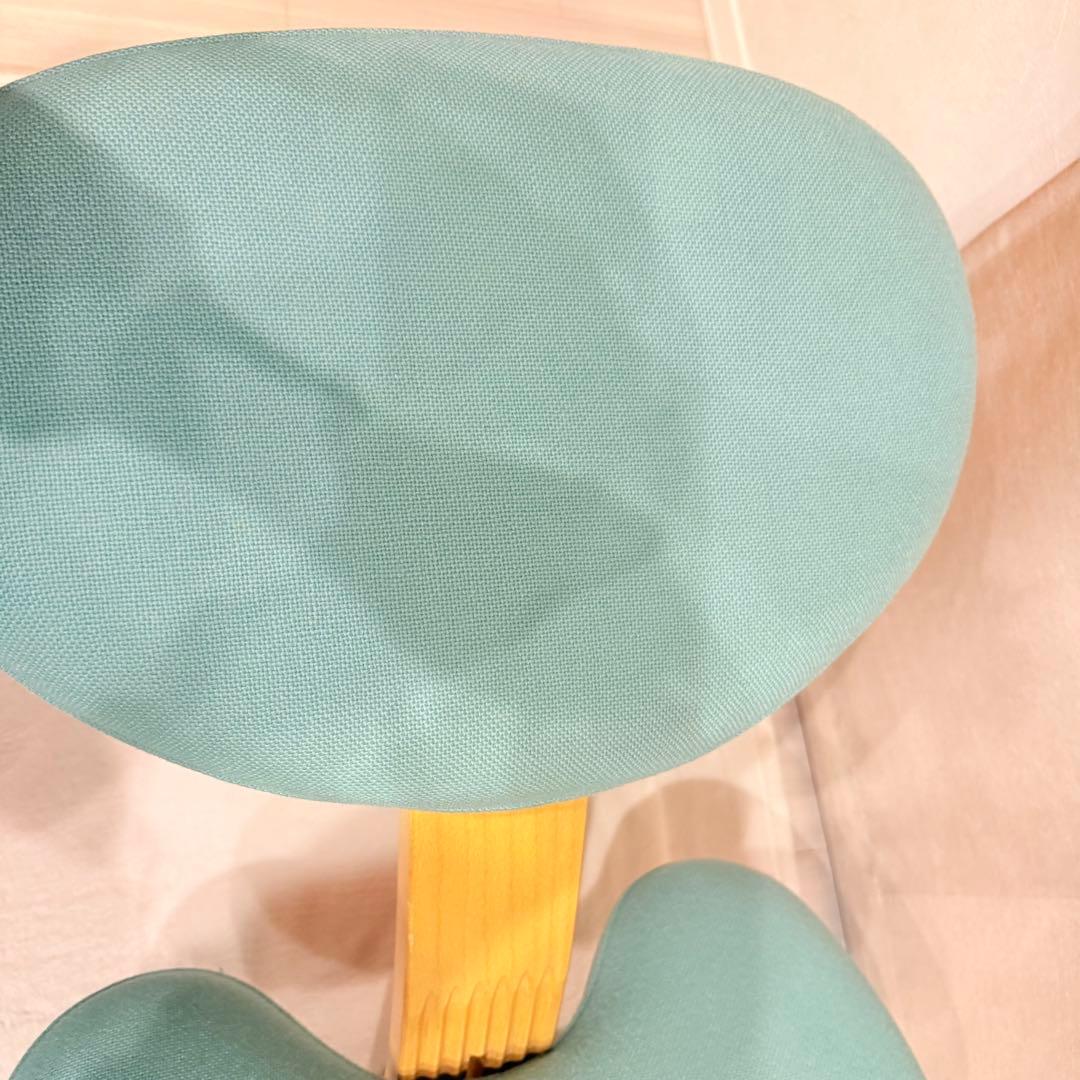 バランスイージー balans Easy ライトグリーン