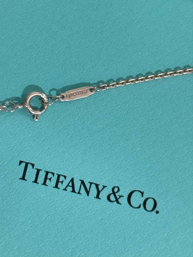 り*ん様 ✨付属品全て有 /ティファニーハードウェア　スターリングシルバー※最終