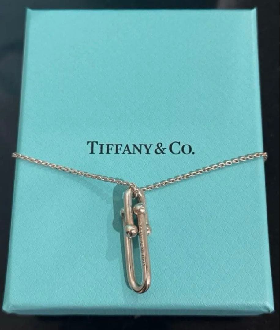 り*ん様 ✨付属品全て有 /ティファニーハードウェア　スターリングシルバー※最終