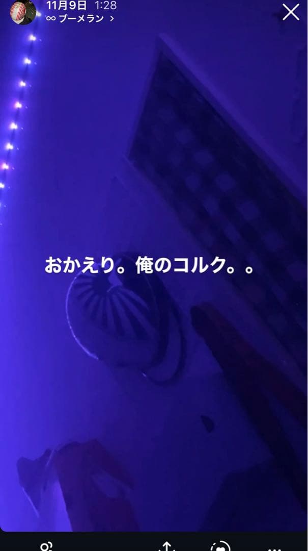 送料込み‼️コルク半紫