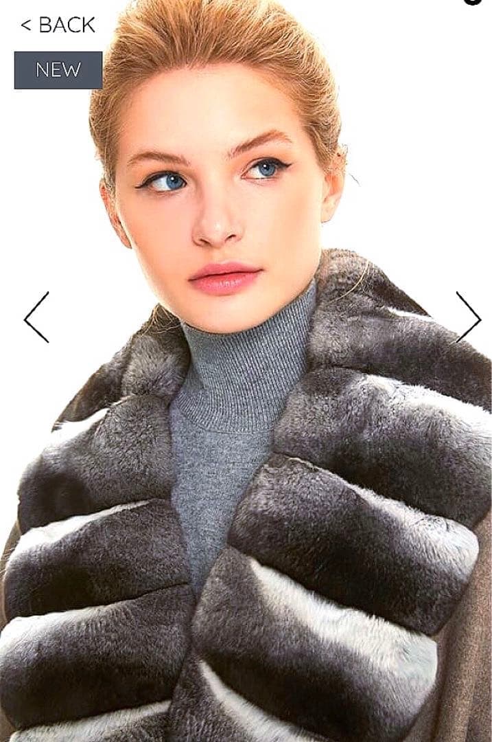 定価１４０万カタログ掲載ロロピアーナチンチラファー＆カシミア裏地マフラーストール