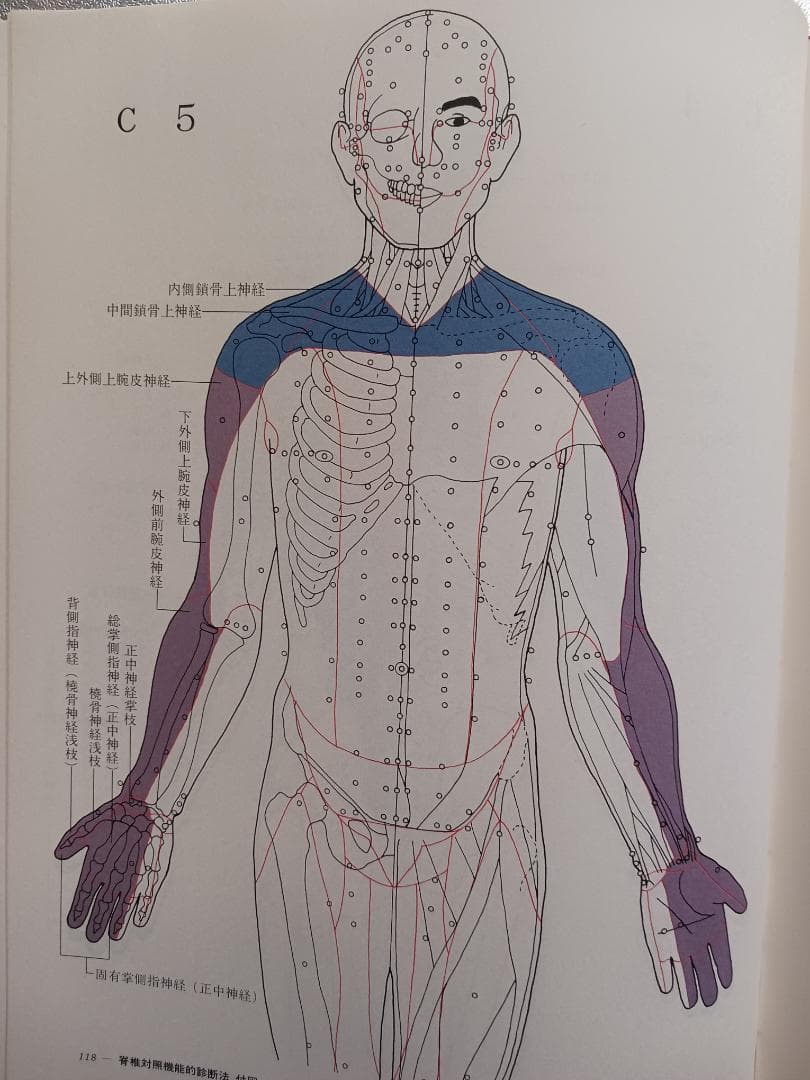 脊椎対照機能的診断法　レントゲン無しで脊髄の異常個所を診断