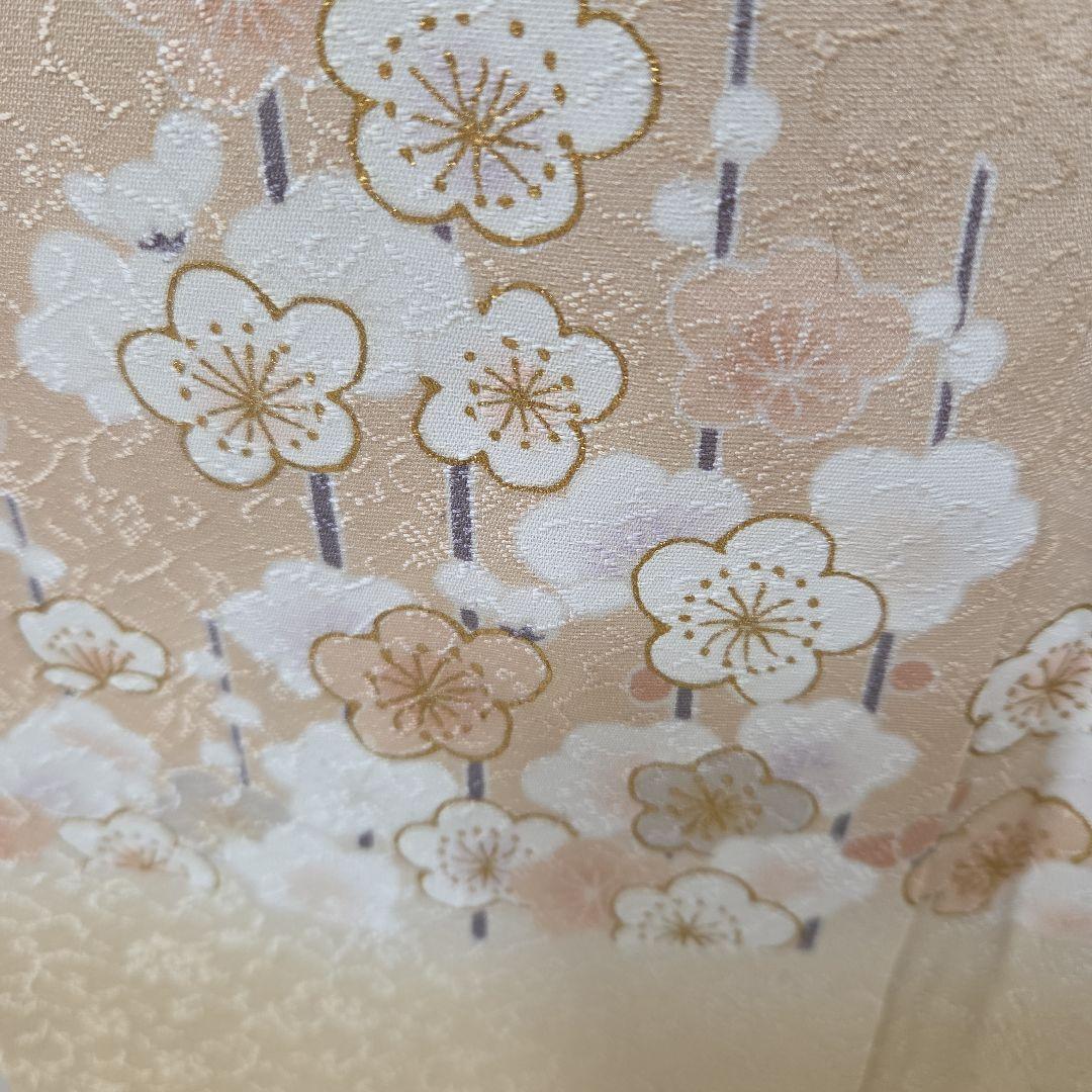 訪問着4点フルセット、着物、袋帯、帯締め、帯揚げ ゆき丈69