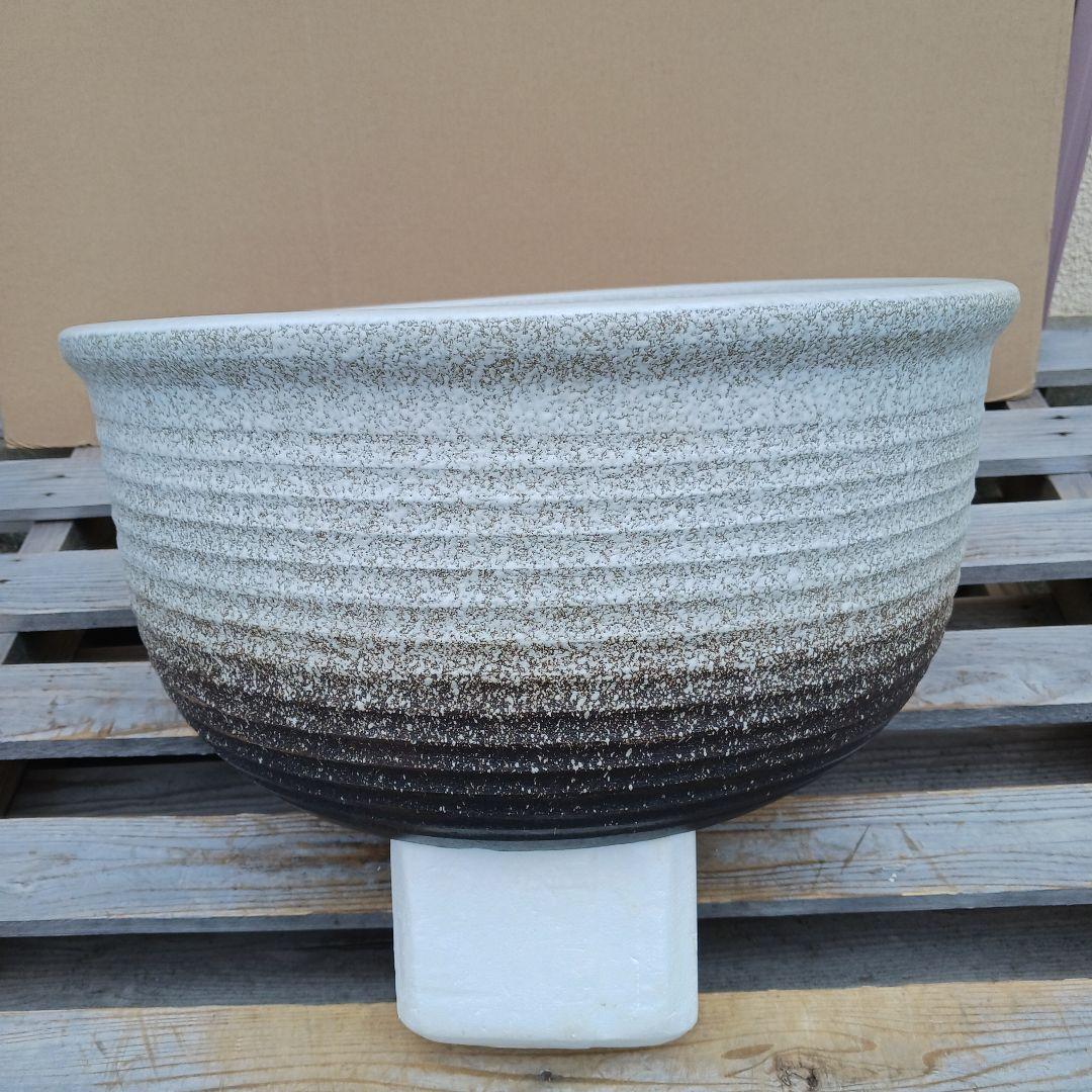 新品　特大径52x49　陶器　睡蓮鉢　メダカ鉢　　白　ホワイト　ルーバー　LWH