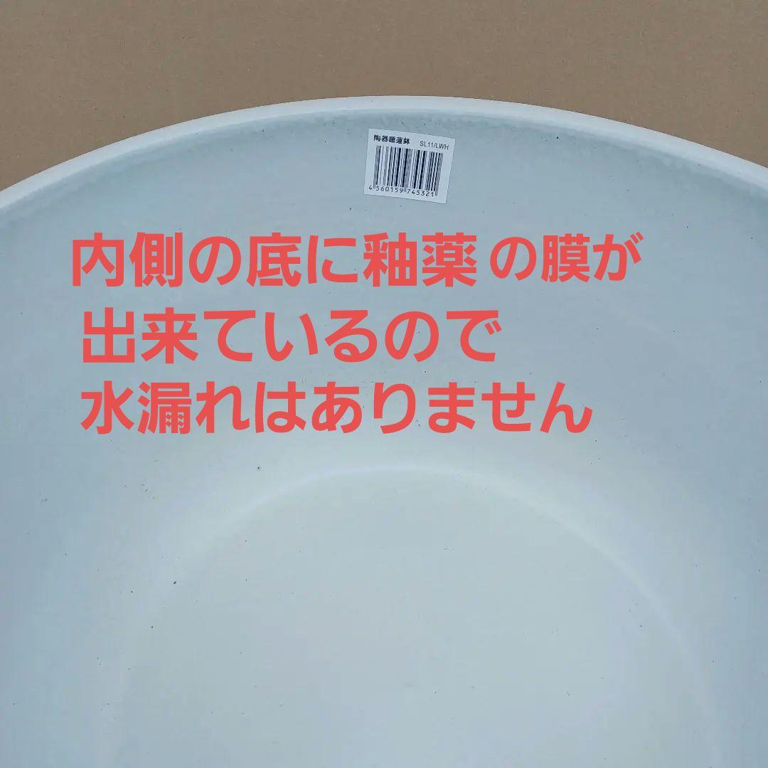 新品　特大径52x49　陶器　睡蓮鉢　メダカ鉢　　白　ホワイト　ルーバー　LWH