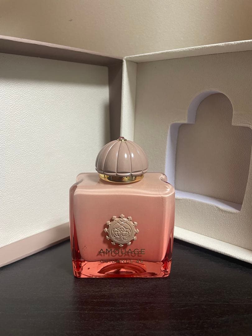 Amouage Guidance 46 100ml 並行輸入品