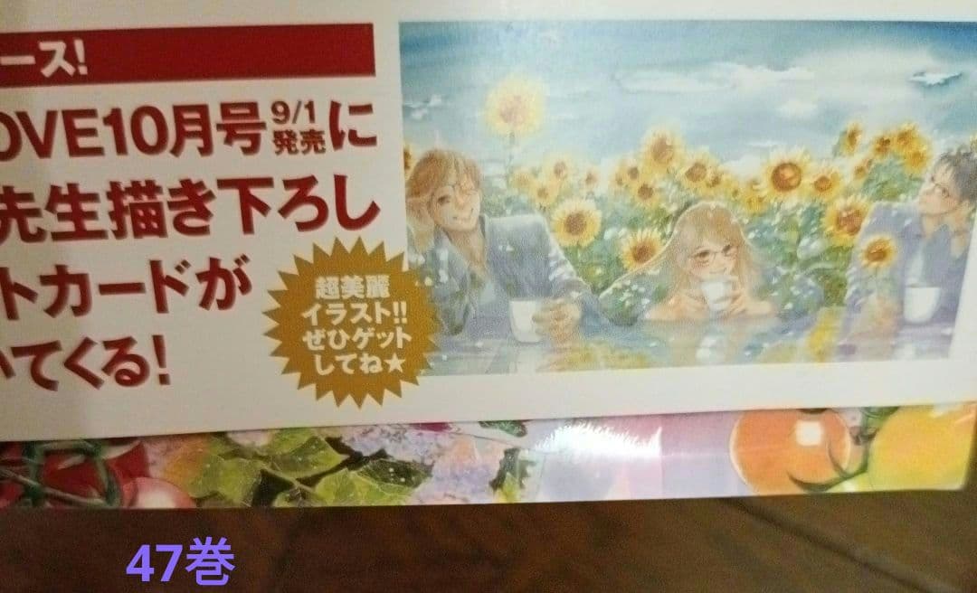 ちはやふる 全巻セット（50巻）