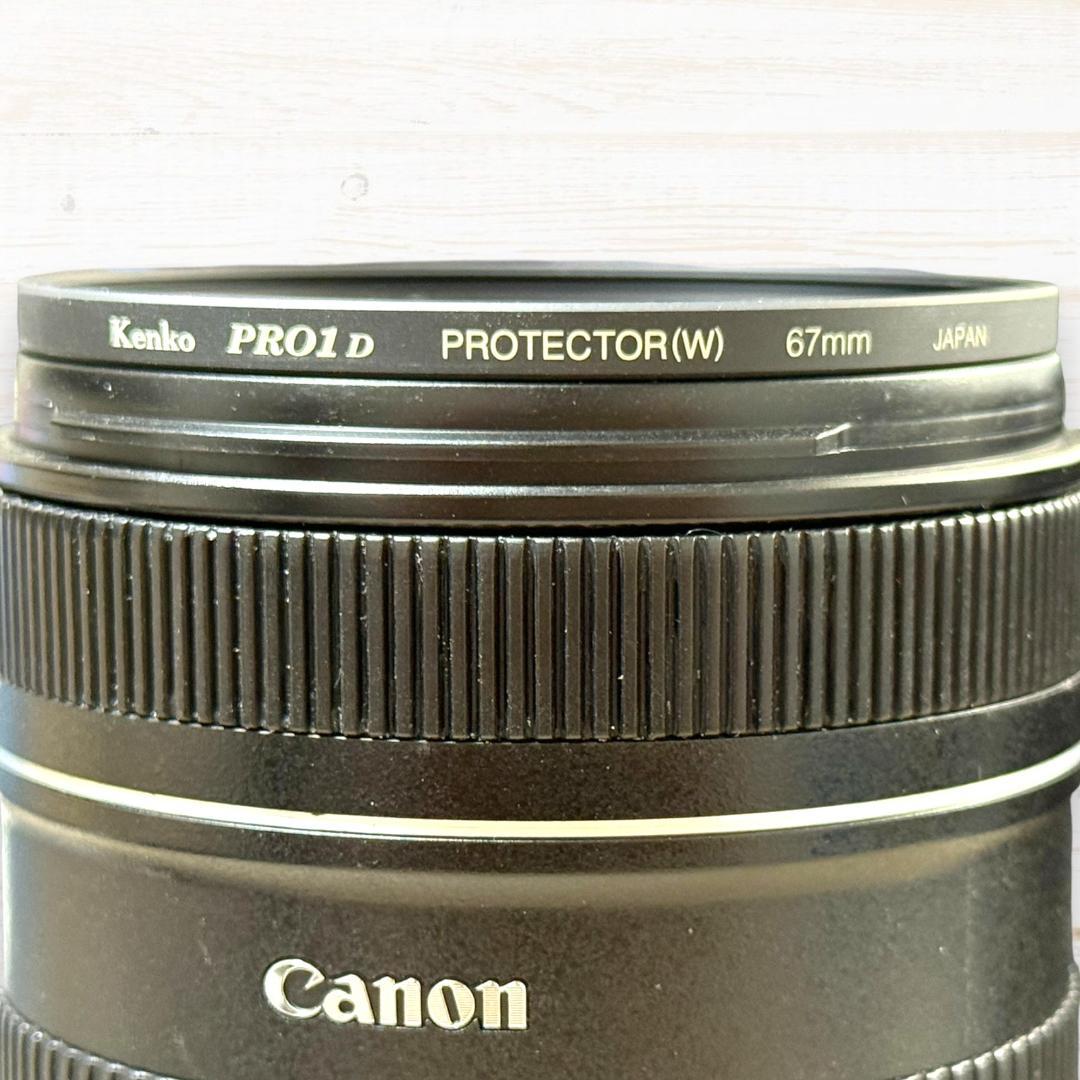 Canon ズームレンズ EF-S 18-135mm IS #260