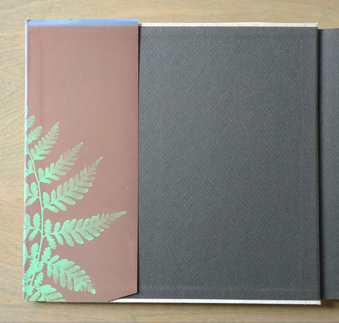 デザイン 柳 宗理の作品と考え