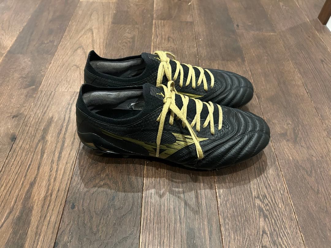 モレリアネオ4 β 24cm