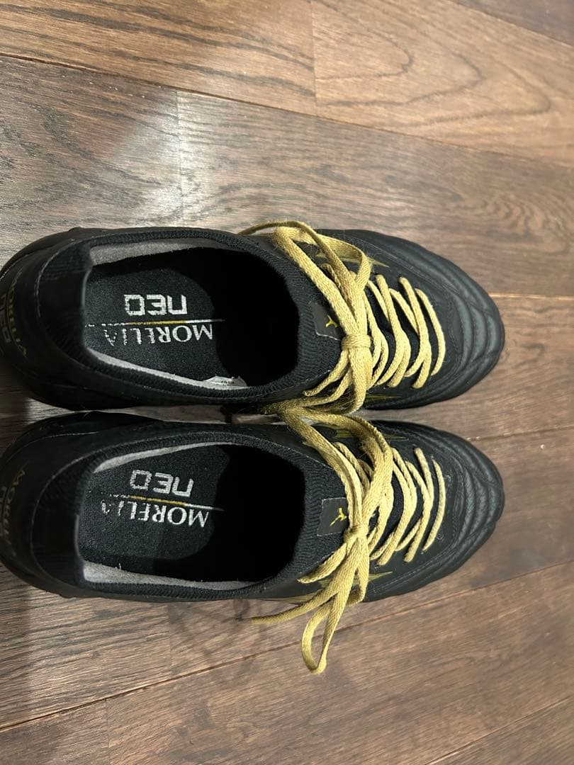 モレリアネオ4 β 24cm