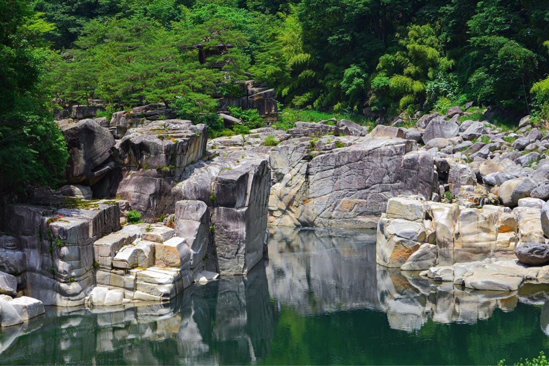 ピ*カ様 Nikon 24mm f/2.8 単焦点レンズ