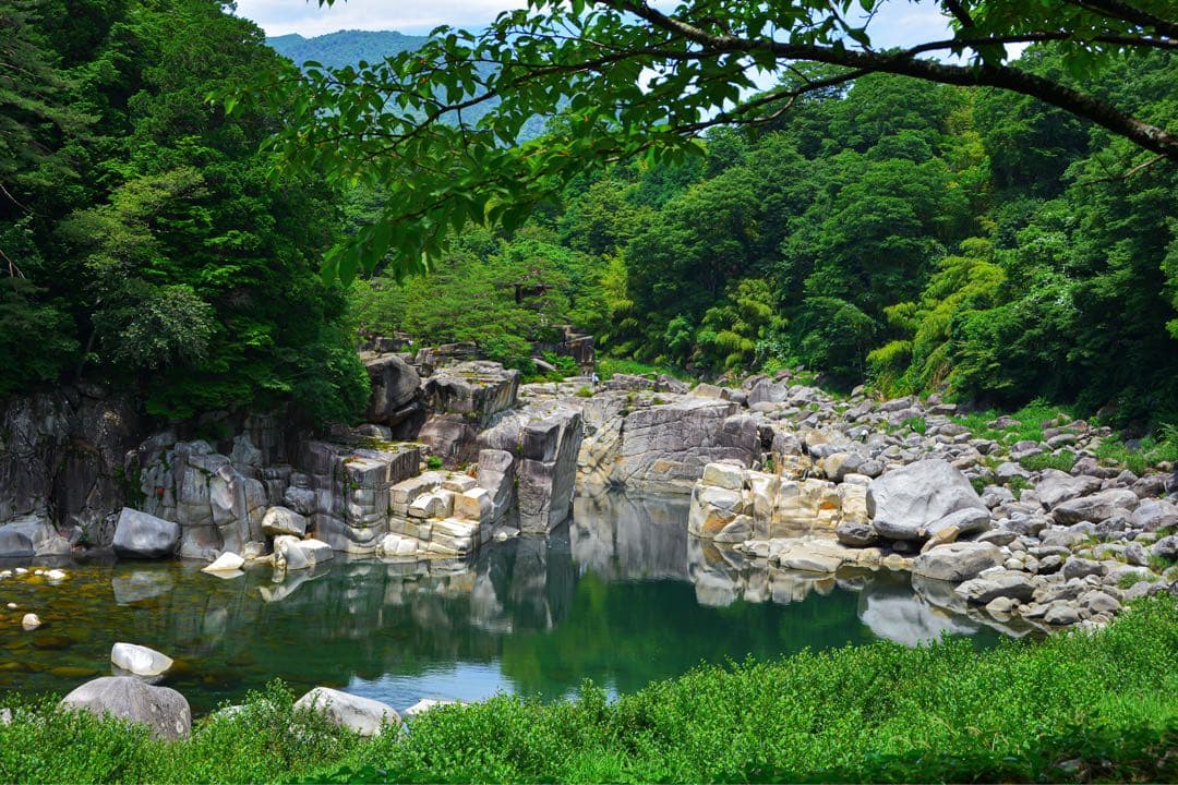 ピ*カ様 Nikon 24mm f/2.8 単焦点レンズ