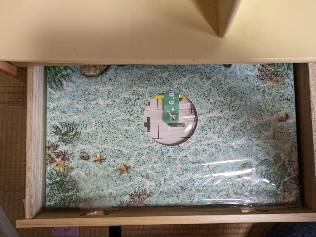 ディズニー英語システム