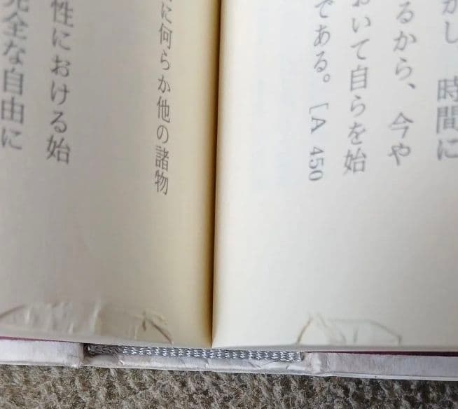 カント「純粋理性批判」註解　ケンプスミス　上下巻セット