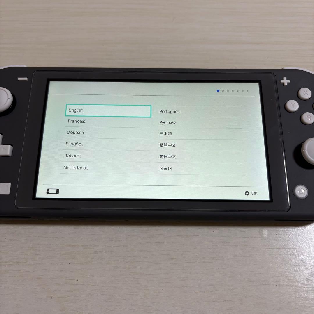 Nintendo Switch Light グレー　本体
