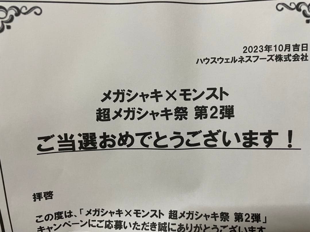 (レンコンチップスさん専用)メガシャキ×モンスト ヤクモ描き下ろしイラスト目覚