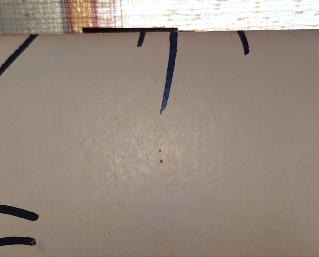 ソ*ド様 大瀧詠一A LONG VACATION 永井博さんジャケットイラストパ