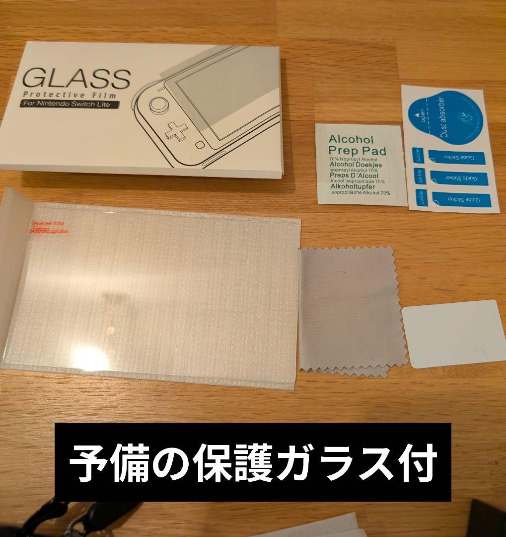 Nintendo Switch Lite ターコイズ 本体　カバー　ケース付
