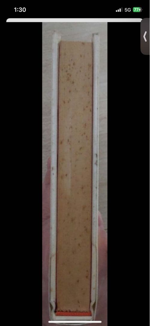 【激レア!!】うわさのベーコン　猫田道子　初版　希少　訳あり