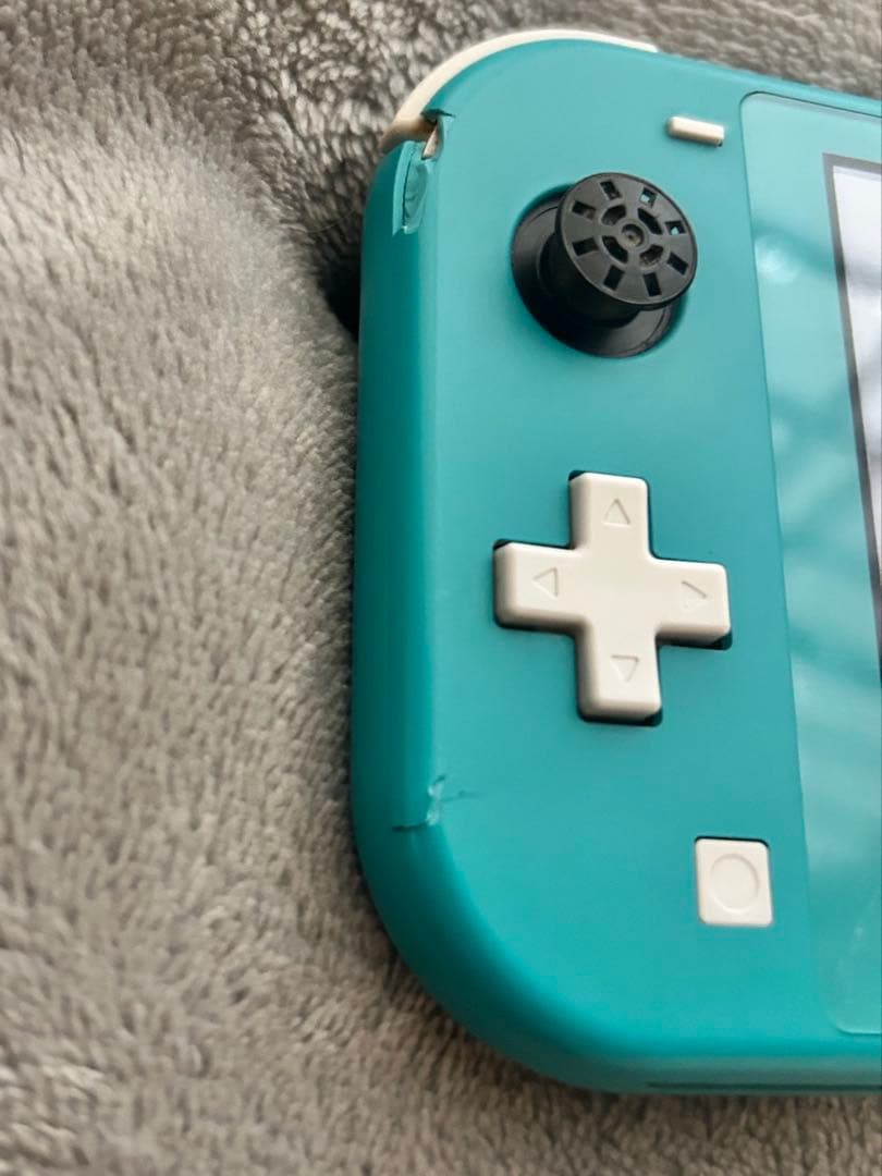 Nintendo・Switchライト