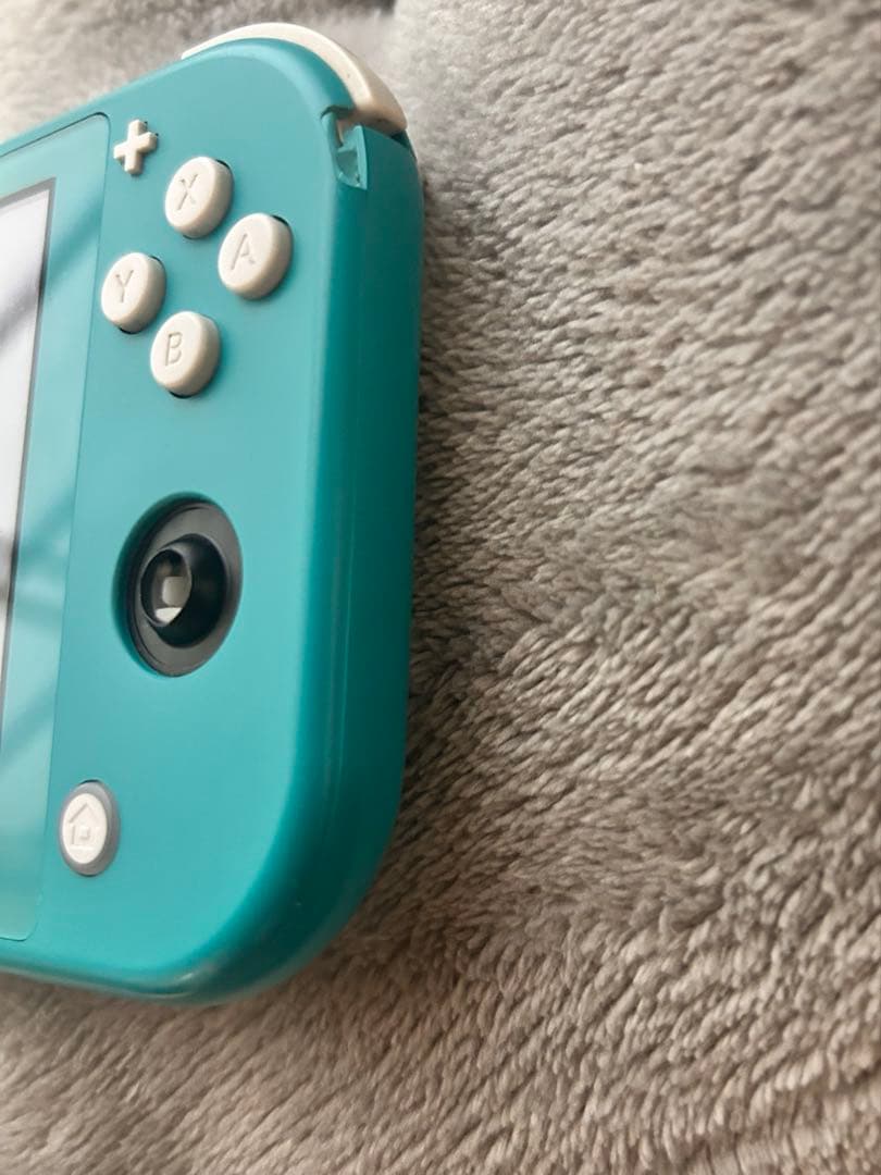 Nintendo・Switchライト