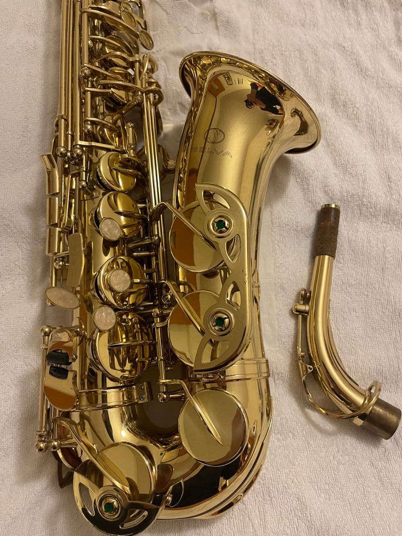 Selvaアルトサックス ブラス製!!