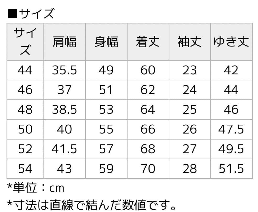 Filippo de Laurentiis ホワイト48白 ポロシャツフィリッポ