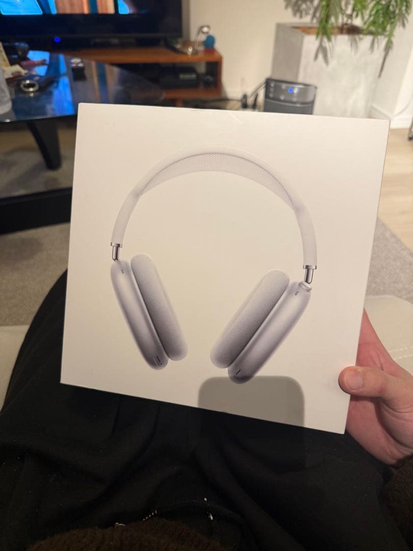 Apple AirPods Max 本体 シルバー　純正　最安値