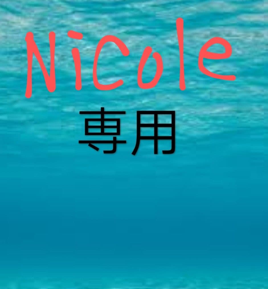 特明太２ｋ 明太切れ２ｋ Nicole