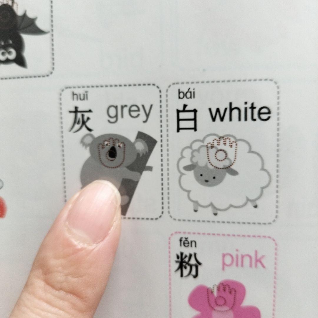 中国語　会说话的有声书 & 识字大王 セット