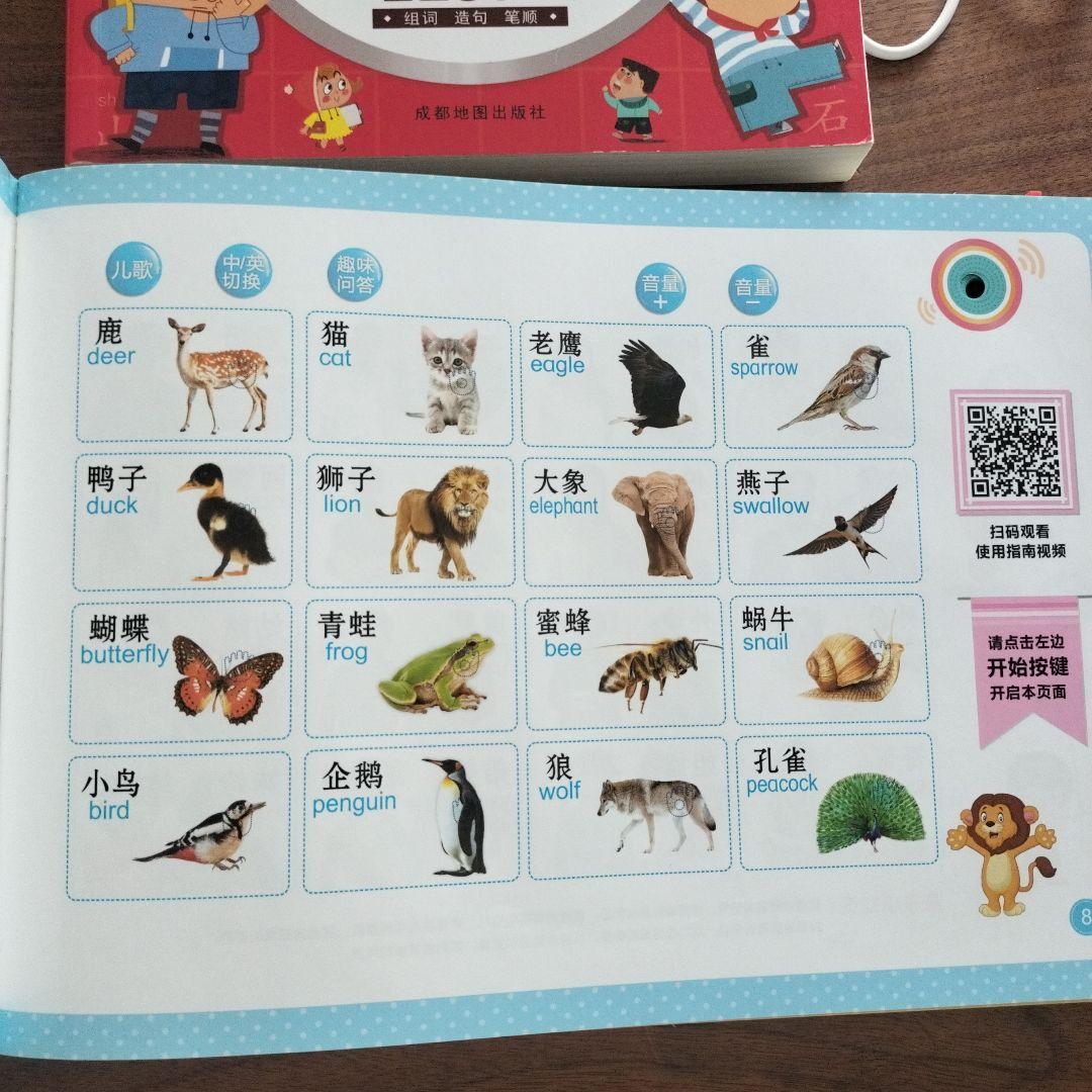 中国語　会说话的有声书 & 识字大王 セット