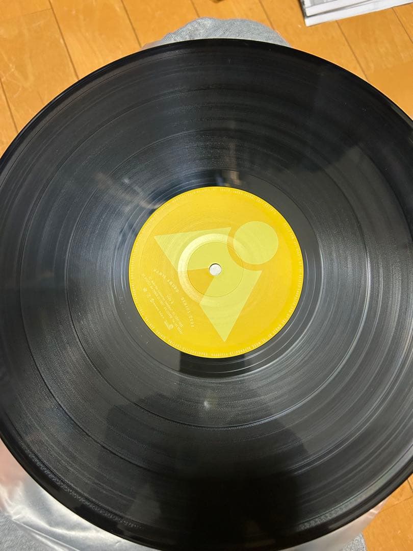 安室奈美恵 GENIUS 2000 レコード（2枚組）